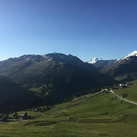 Paola Livigno