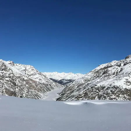 Paola Livigno